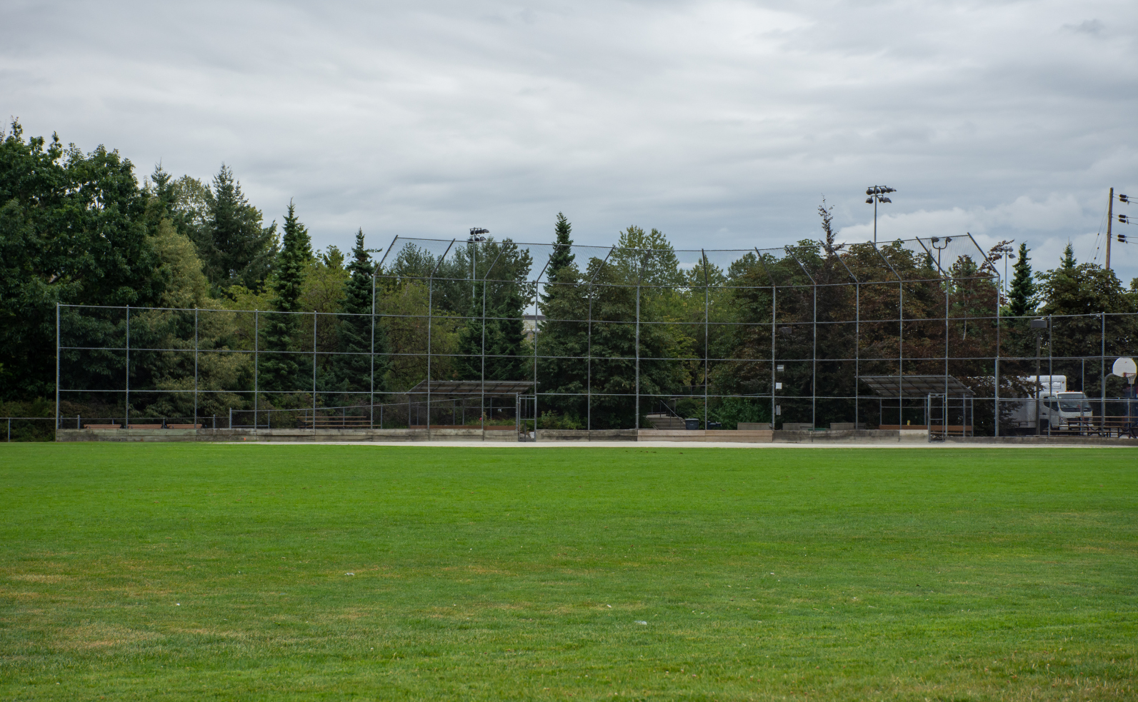 Sports